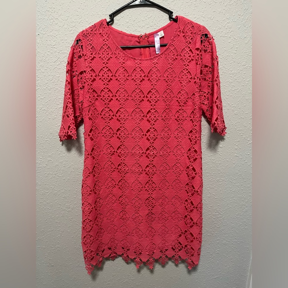 Francesca’s Pink Embroidered Short Sleeve Summer Dress